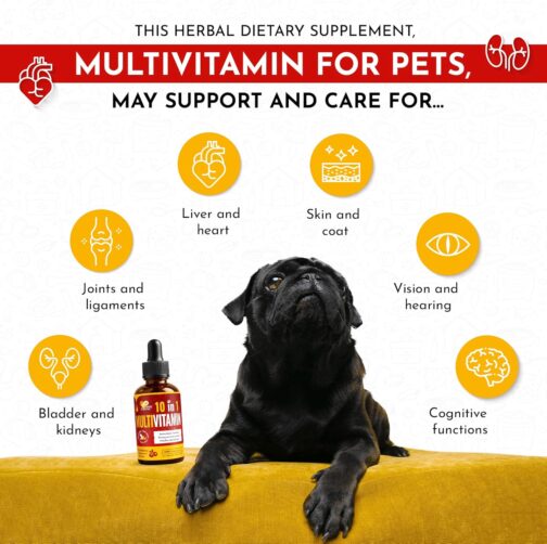 Canis&Cattus Multivitamin for Pets | Liquid Cat & Dog Vitamin with Cranberry | Complete Digestive, Urinary, and Immune Support - Image 2