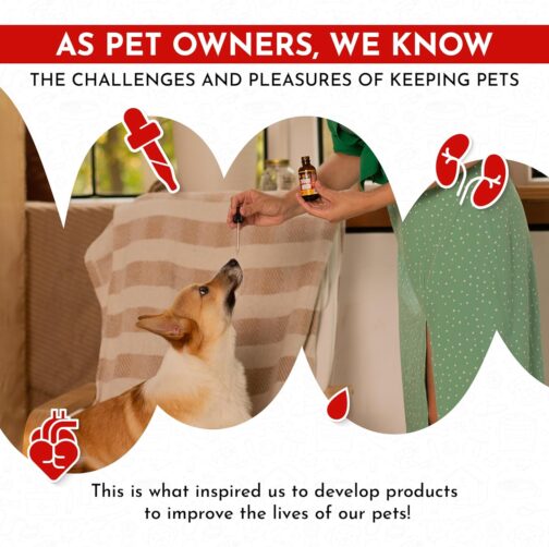 Canis&Cattus Multivitamin for Pets | Liquid Cat & Dog Vitamin with Cranberry | Complete Digestive, Urinary, and Immune Support - Image 7