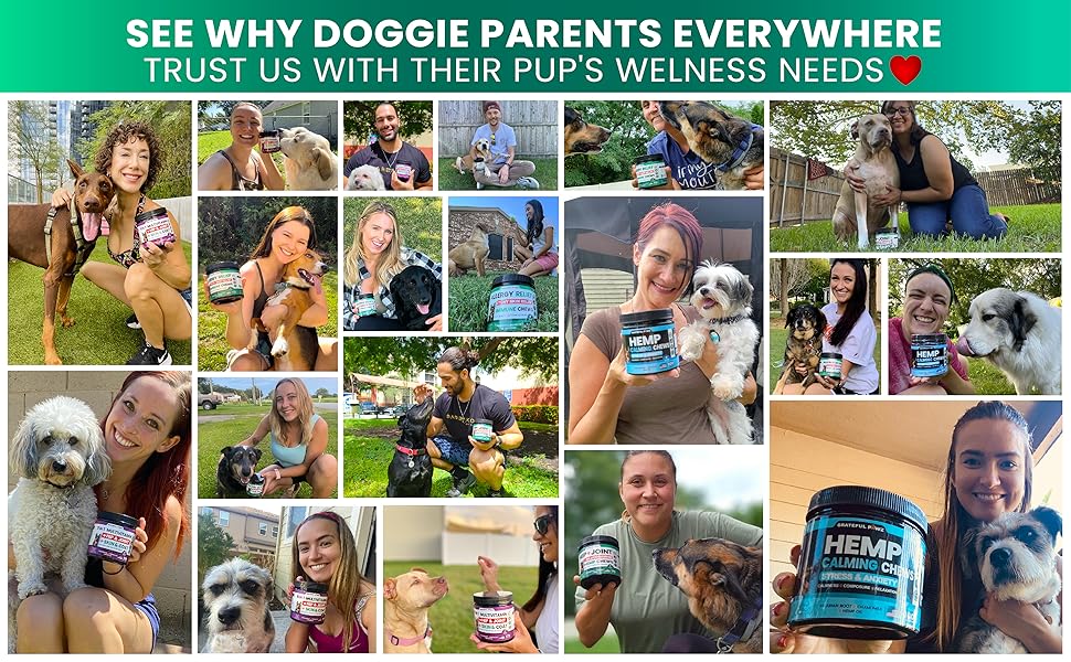 best-dog-multivitamin-chewable-with-glucosamine