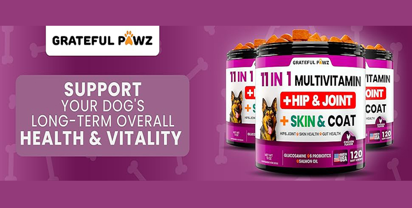 You are currently viewing Best Dog Multivitamin Chewable with Glucosamine – Immune, Joint & Skin Support for Dogs of All Ages