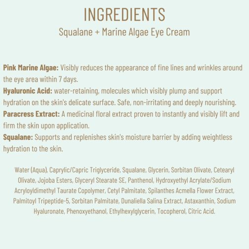 BIOSSANCE Squalane and Marine Algae Eye Cream – Anti-Aging Under Eye Cream for Puffiness, Wrinkles & Fine Lines – Hydrating Formula with Hyaluronic Acid - Image 5