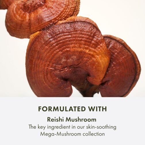 Origins Mega-Mushroom Micellar Cleanser – No-Rinse Face Cleanser for Sensitive Skin with Reishi and Glycerin - Image 3